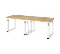 STIER STIER Établi électrique réglable en hauteur Premium L × P × H 2500×900×740-1140 mm Quantité:1