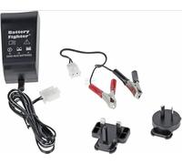 Stiga CHARGEUR DE BATTERIE DE TRACTEUR ESTATE TORNADO COMBO Original