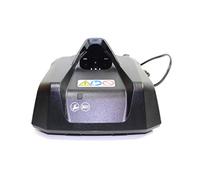Stihl EA034302500 Chargeur Batterie AL 1 pour GTA 26, HSA 26
