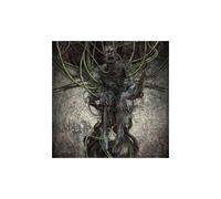 Maladie – Still – CD