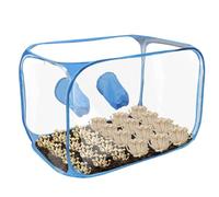 Still Air Box pour champignons, tente de culture transparente | Sacs de culture de champignons, fournitures horticoles, design pop-up, conteneurs de culture