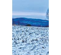 Still Earth - Winter Arc Vol. 1: Winter Quiet Arc - Clear Hush