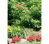 Still Finding Balance