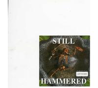 Still Hammered - Still Hammered-What Was I Drinking? (UK Import)