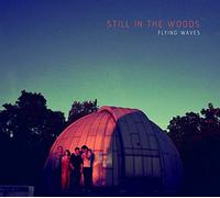 Still in the Woods - Flying Waves [Import]