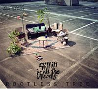 Still in the Woods - Rootless Tree