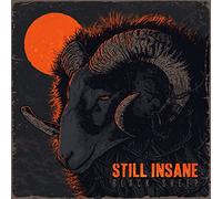 Still Insane - Black Sheep [Import]