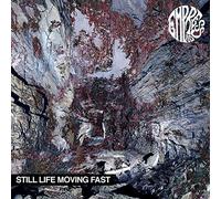 Still Life Moving Fast by Empress AD