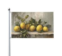 Still Life of Lemons Drapeaux rustiques pour maison de cour, 9,6 x 1,5 m, bannière de vœux avec œillets, décoration d'intérieur et d'extérieur