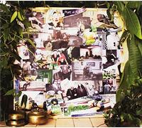 Still Life on Fire [Import]