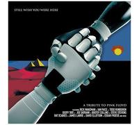 Still Wish You Were Here Tribute To Pink Floyd /Va - Still Wish You Were Here - A Tribute To Pink Floyd (Various Artists) [Compact Discs]