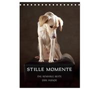 Stille Momente - Die sensible Seite der Hunde (Tischkalender 2026 DIN A5 hoch), CALVENDO Monatskalender: Hunde, wie sie unser Herz berühren...