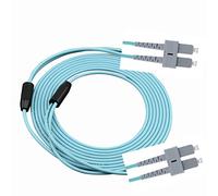 Stillshine. SC à SC 10Gb OM3 Câble à Fibres optiques Duplex multimode 50/125 µm, Armure en Acier Inoxydable, Fiber Optic Cable SC-SC (30 mètres)