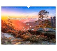 Stimmungsvolle Landschaften in Sachsen 2026 (Wandkalender 2026 DIN A3 quer), CALVENDO Monatskalender: Wunderschöne Landschaften und Stimmungen in Sachsen