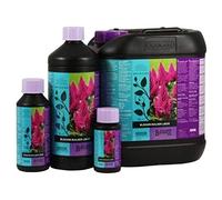Stimulateur de Floraison B'Cuzz Blossom Builder Liquid (250ml)