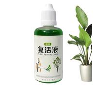Stimulateur Racinaire pour - Agent d'Enracinement Liquide - Nutriement Liquide Naturel 50ml Pour Sol Compost Fleurs Jardin Fruits Gazon Bonsai Pelouse Boutures