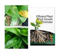 Stimulateur Racinaire Pour - Booster de Propagation Concentré,Activateur De Sol Pour D'Intérieur | pour Boutures, Rempotage, Arbres, d'Intérieur, Fleurs, Jardin et Serre