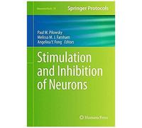 Stimulation And Inhibition Of Neurons
