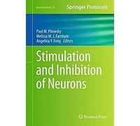 Stimulation And Inhibition Of Neurons