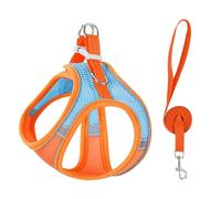 Stimulicat Cat Harness-2025 Upgraded Escape Proof Step-in Mesh Vest with Reflective Strips, Outdoor Explorer Walking Harness (Blue-Orange,XS 3-4kg)