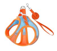 Stimulicat Ensemble harnais et laisse pour chat - Harnais Stimulicat Explorer - Harnais réglable en maille souple - Pas d'étouffement et de traction - Anti-fuite (bleu et orange, taille XXS)