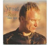 Sting Featuring Cheb Mami - Desert Rose