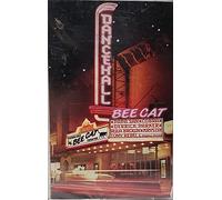 Sting Like a Bee Cat - Dancehall Compilation