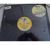 Stingily, Byron - Flying High [Vinyl LP]