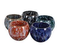 STOBAZA 5 pièces Tasses à Thé Céramique avec Motifs Élémentaux Service Élégant pour Tasse Office et Usage Quotidien