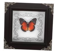 STOBAZA Cadre papillon rétro pour mur - Collection unique de papillons préparés - Décoration vintage pour la maison et le bureau - Expositions créatives