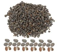 STOBAZA Galets Décoratifs Naturels pour Aménagement Paysager Pierres de Rivière Miniatures Lisses Kit de Matériaux pour Mini Scénarios Décoration Bassin Jardin et Modélisme Sachet