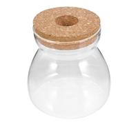 STOBAZA Terrarium Verre pour Plantes Hydroponiques Pot Décoratif Transparent Moyen Micro Paysage Intérieur pour et Fleurs Contenant Écologique Polyvalent