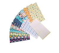 STOBOK Enveloppes Budgétaires Accessoires 25 Pcs Planificateur de Budget Imprimé Coloré 12Pcs Enveloppes de Trésorerie 12Pcs Feuilles de Budget 1 Feuille Étiquette Autocollants Suivi Des