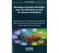 Stockage D'énergie Électrique Pour Les Bâtiments Au Sein De Réseaux Intelligents