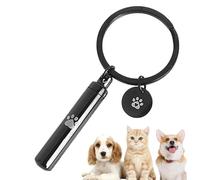 Stockage des cendres d'animaux de compagnie - Urne à pendentif en acier inoxydable | Pendentif porte-clés | Mini urne pour cendres de chien | Accessoire souvenir élégant pour femmes et hommes, sac à m