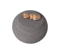 Stockage des cendres de chien | Urne stable pour le stockage des cendres, récipient décoratif lisse pour se souvenir d'adieu pour animaux de compagnie chats