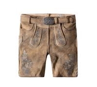 STOCKERPOINT Pantalon folklorique 'Girgl' noisette / moutarde / argent, Taille 58