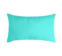 Stof - Coussin - Taille 30x50 cm - 100% Polyester - Couleur Celadon - Modèle Nelson - Épaisseur Idéale - Confortable et Élégant - Agréable au Toucher