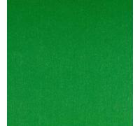 Stoffbook Feutrine de bricolage ~5MM~ tissu feutre vert plante, B537