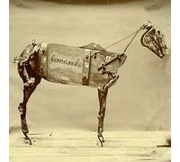 Stokes, Chadwick - Horse Comanche