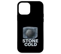 Stone Cold Littéral Anglais Majeur Drôle Grammaire Humour Étudiant Coque pour iPhone 12 Mini