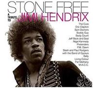 Stone Free A Tribute To Jimi Hendrix Vinyle Coloré G