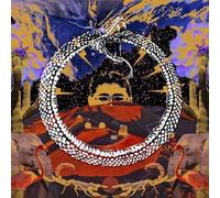 Stone House On Fire - Neverending Cycle [Vinyl Lp]