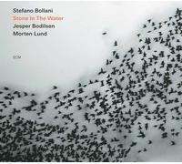 Stefano Bollani - Stone in The Water