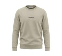 Stone Island - SweaT-shirts - Homme - Sweatshirts et sweats à capuche - Brun - Taille: L