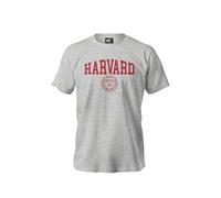 Stone Kids T-Shirt Homme Harvard - Licence Officielle - Coupe Confortable, Impression Haute Définition française, Écoresponsable, Taille XL Disponibles - Différents Coloris
