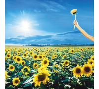 Stone Temple Pilots - Thank You [New Vinyl LP]