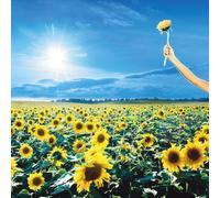 Stone Temple Pilots - Thank You [Import]