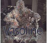 Stone Temple Pilots – Vasoline – Atlantic Bicycle