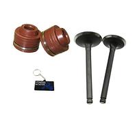 STONEDER Joints de tige de soupape d'échappement d'admission pour Lifan YX 125 140 cc Pit Dirt Bike 23 mm 27 mm